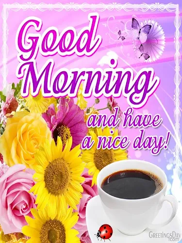 Good morning phrases