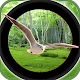 Forest 3D Birds Hunting - Sniper Shooting