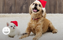 Funny Christmas Puppies & Kittens Wallpapers small promo image