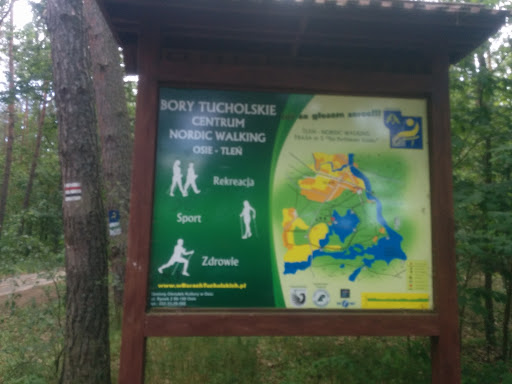 Tablica Informacyjna - Centrum Nordic Walking Bory Tucholskie Osie-Tleń