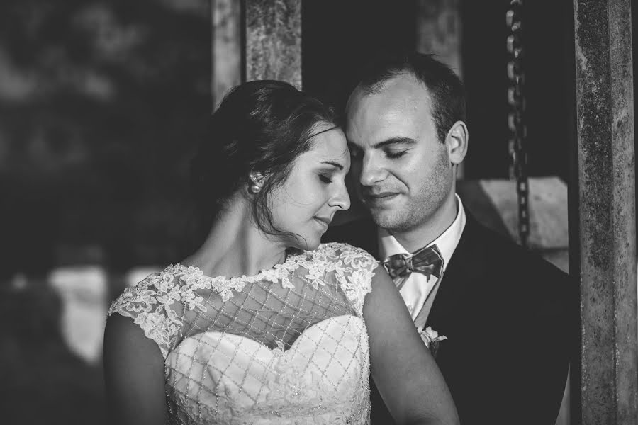 Fotógrafo de bodas Nicolas Michiels (michielsnicolas). Foto del 13 de enero 2017