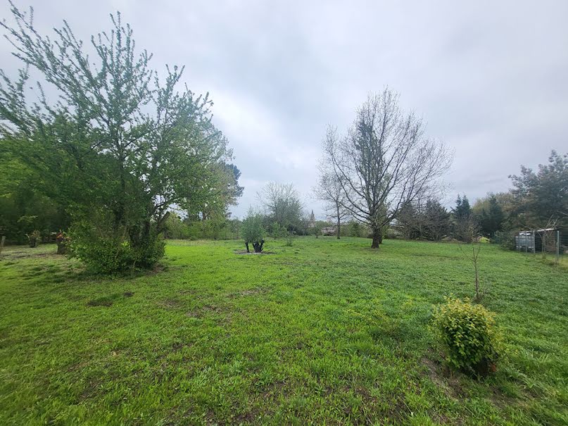 Vente terrain  1000 m² à Blaye (33390), 42 000 €