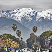 VIALE CHE VA DAL MARE A CARRARA di 