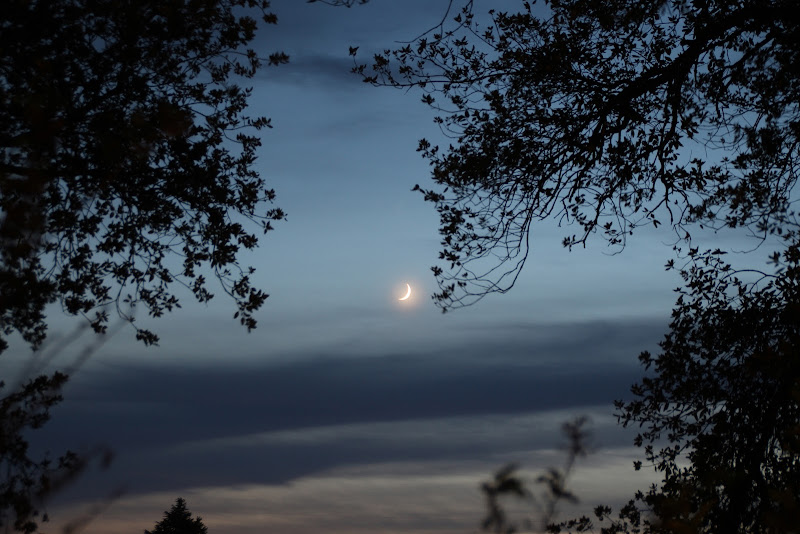 Luna Casa Boves di fabiobaldi