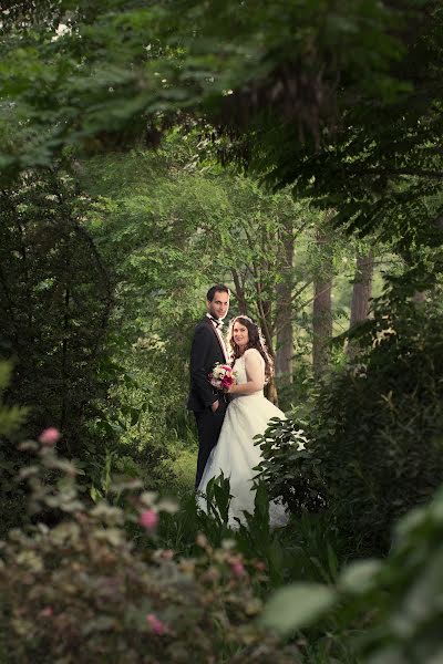 Svatební fotograf Ali Sak (aswed). Fotografie z 16.května 2017