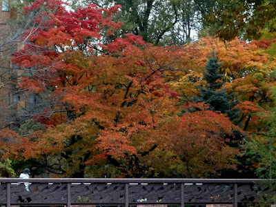 [10000ダウンロード済み√] 中島公園 天文台 204264-北海道 中島公園 天文台