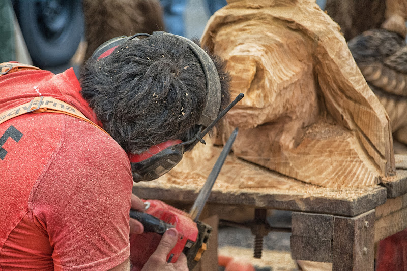 Scultore molto particolare di vaiolet