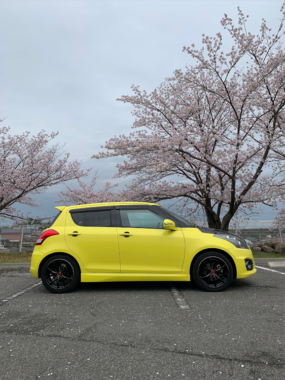 スイフトスポーツの桜とコラボ🌸に関するカスタム事例の投稿画像1枚目