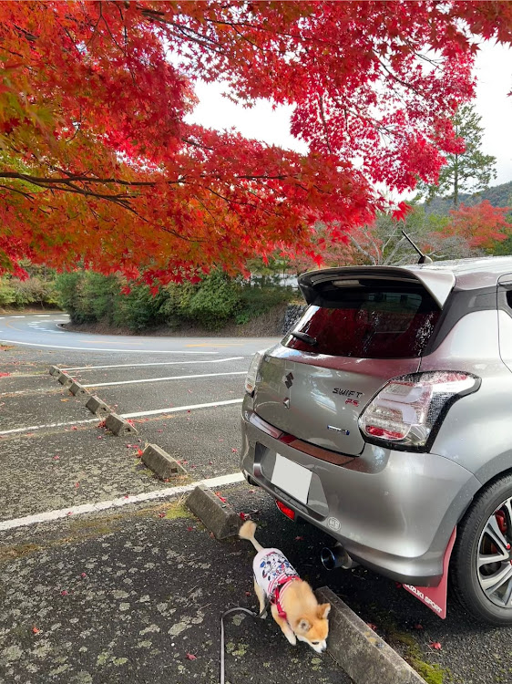 スイフトのスイフトRSのある生活・嵐山高雄パークウェイ・可愛い相棒・紅葉に関するカスタム事例の投稿画像2枚目