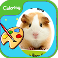 Guinea Pig Coloring Books  Paintbook