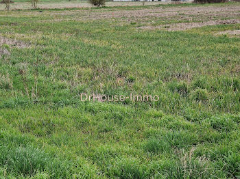 terrain à Le Thuit-Anger (27)