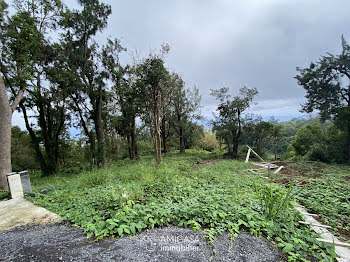 terrain à Saint-Denis (974)