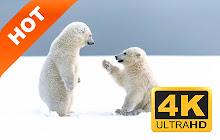 Wildlife popular photography HD new tab theme small promo image