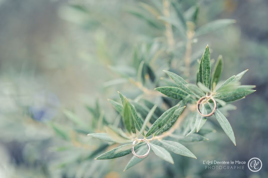 Fotógrafo de bodas Virginie Debuisson (debuisson). Foto del 9 de noviembre 2014