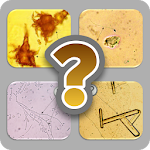 Cover Image of ดาวน์โหลด Urinalysis Quiz 7.1.2z APK