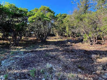 terrain à Sari-Solenzara (2A)