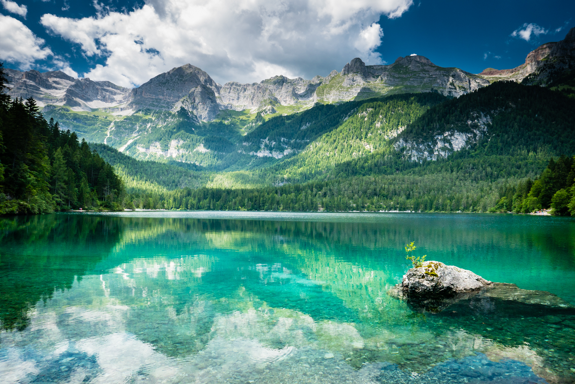 Cartolina dal Trentino di Franco Di Claudio