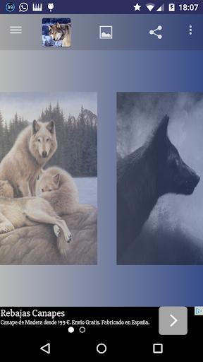 Wolfs wallpapers