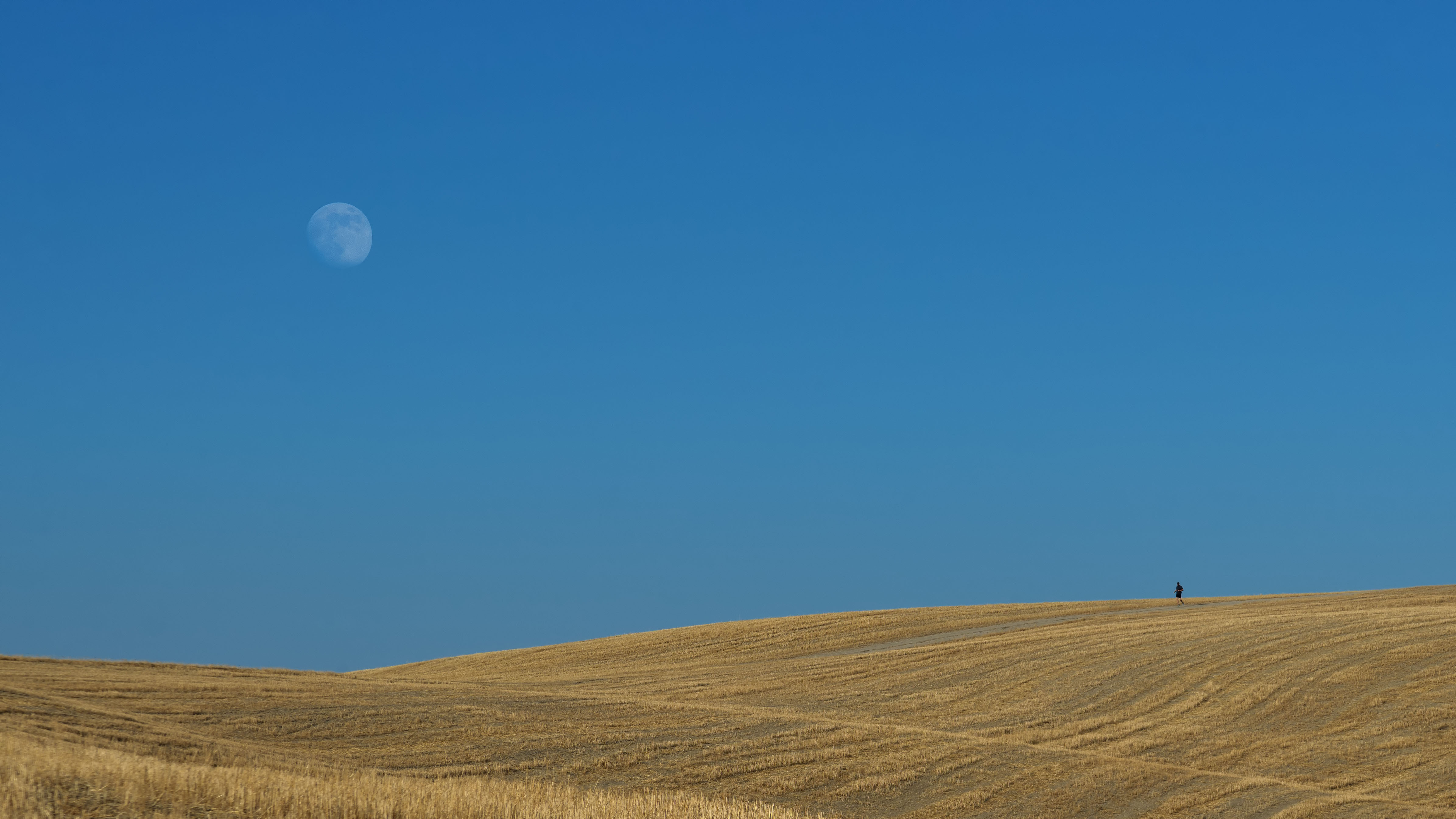 L'uomo e la Luna di Rino Lio