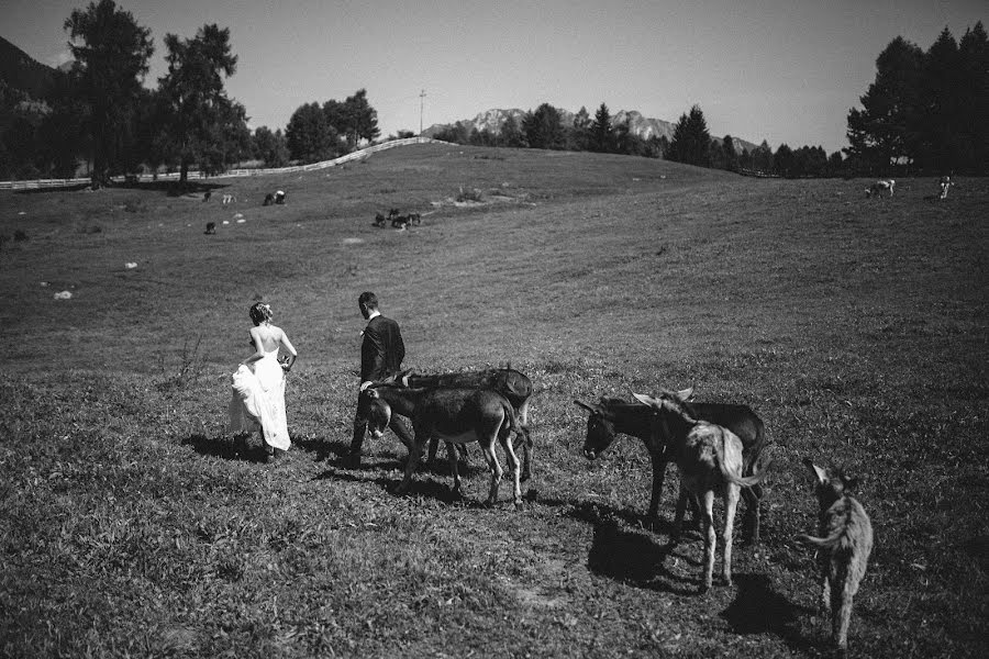 Fotógrafo de casamento Maria Martus (martus). Foto de 4 de abril 2016