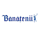 Download Banatenii For PC Windows and Mac 1.0.0