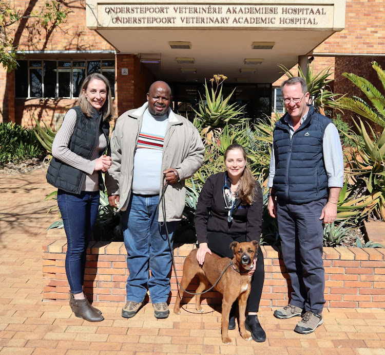 Phoenix was discharged from hospital and is recovering well while her owner Mmakgomo Motalane is grateful his dog has another chance at life.