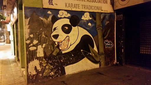 Mural Oso Panda