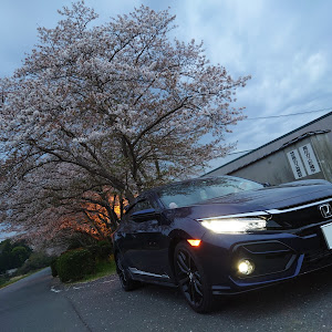 シビック FK7