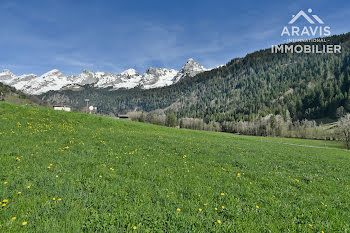 terrain à Le Grand-Bornand (74)