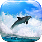 Dolphin Live Wallpaper 3.0 Icon