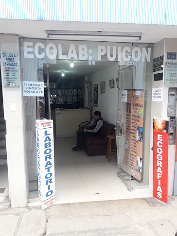 Ecolab Puicon