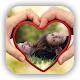 Download Valentine Day Photo Frame For PC Windows and Mac 1.0