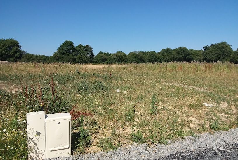  Vente Terrain à bâtir - 1 000m² à La Chapelle-des-Marais (44410) 