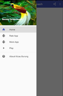 Kicau Burung Cenderawasih(圖1)-速報App