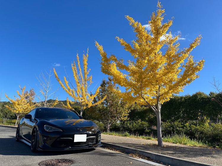 86の紅葉・ドライブに関するカスタム事例の投稿画像3枚目