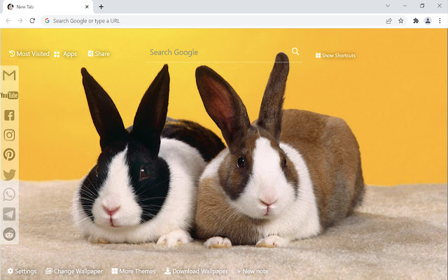 Bunny & Rabbit Wallpaper New Tab