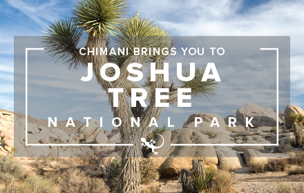 Joshua Tree Ntl Park: Chimani small promo image