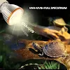 miniatures image - 2