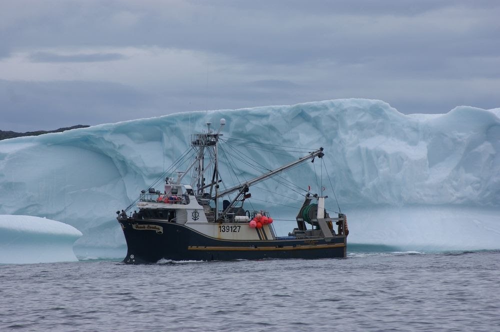 Iceberg Alley, o visitante inesperado