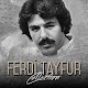 Ferdi TAYFUR Şarkıları (İnternetsiz) Download on Windows