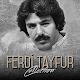 Download Ferdi TAYFUR Şarkıları (İnternetsiz) For PC Windows and Mac 1.1