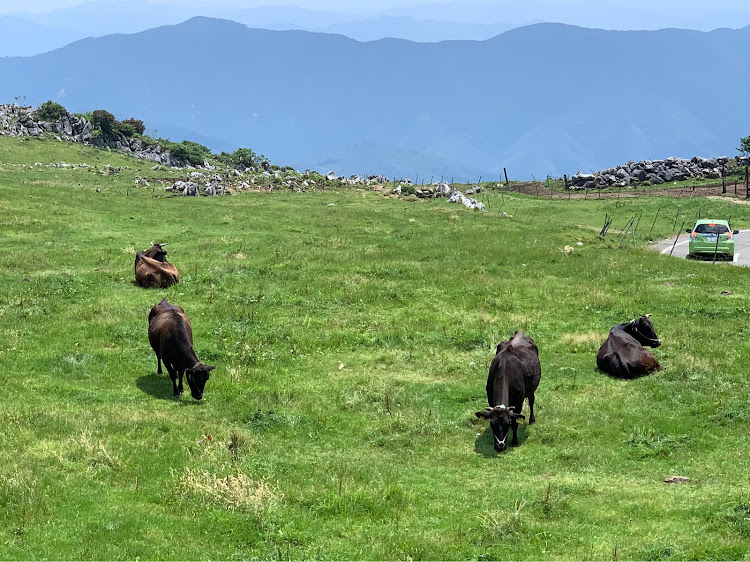 シビック(欧州HB)のfk7・ドライブ・四国カルスト・10the civic・ホンダに関するカスタム事例の投稿画像2枚目