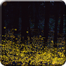 Forest Firefly live wallpaper icon