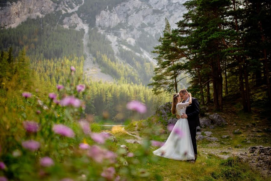 Photographe de mariage Dávid Csik (davidcsik). Photo du 11 octobre 2022