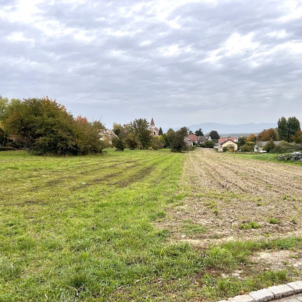 Vente terrain  452 m² à Andilly (95580), 295 000 €