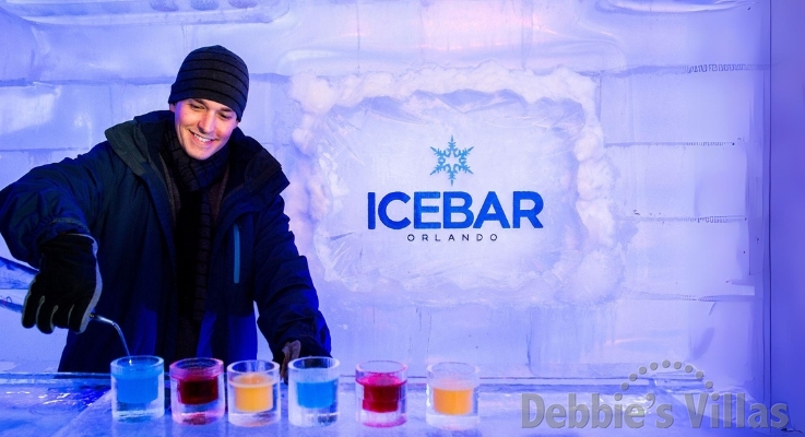 Ice Bar Orlando