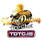 tdtcis