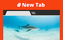 Sharks. New tab small promo image