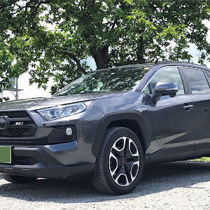 RAV4 MXAA54