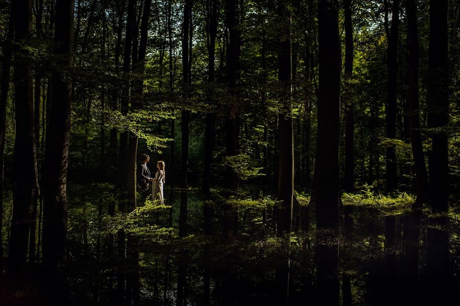 Svatební fotograf Maciek Januszewski (maciekjanuszews). Fotografie z 25.září 2016